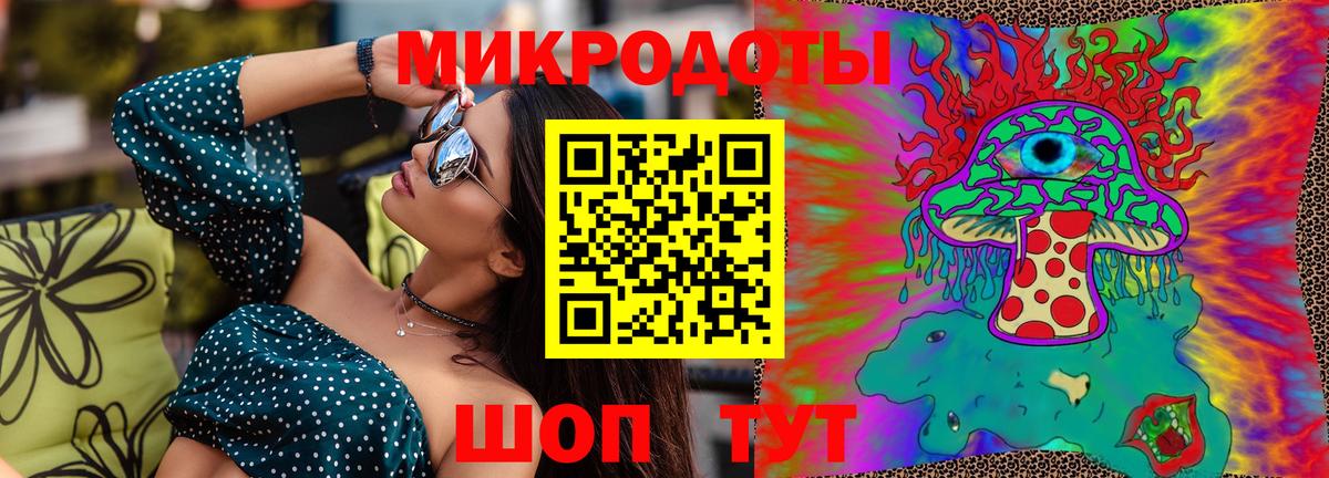 Галлюциногенные грибы Psilocybine cubensis Красноярск
